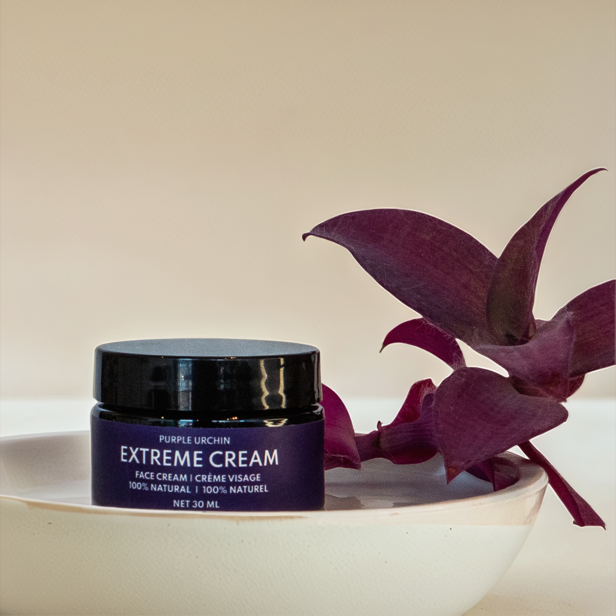 Extreme Cream Facial Moisturizer – Purple Urchin