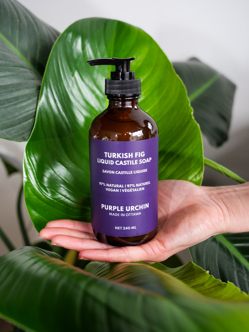 Turkish Fig Liquid Soap