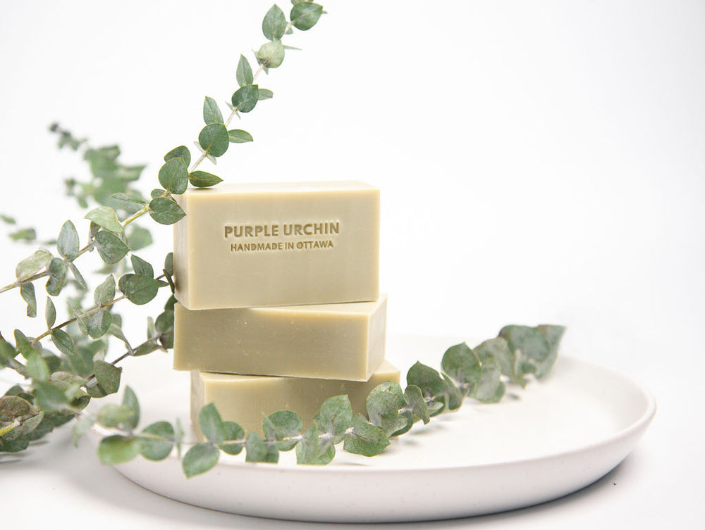 Tea Tree & Eucalyptus Face and Body Bar Soap