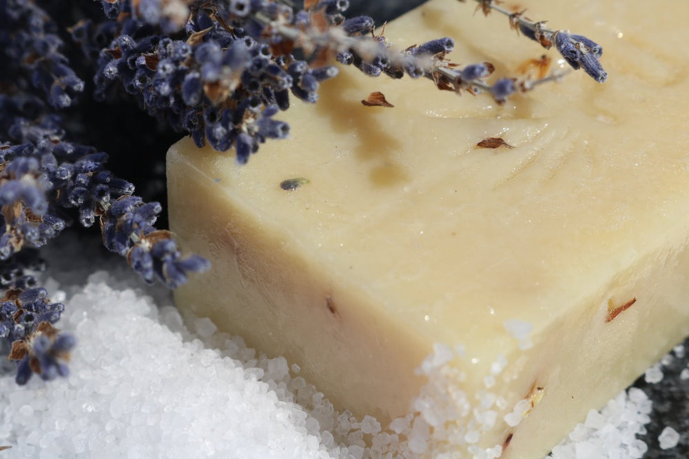 Lavender Bar Soap - Purple Urchin Natural, Vegan Soap